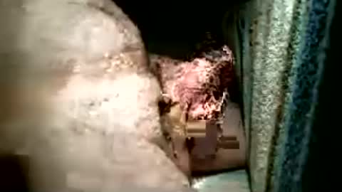 balthazar7676 online show from 06.24.26