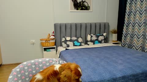 Kira online show from 01.10.25