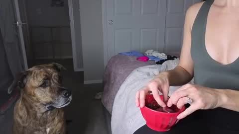 Snapshot of bambifarrina chatting on 01.18.26 bambifarrina online show from 01.18.26