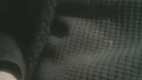 bandapart online show from 02.14.25