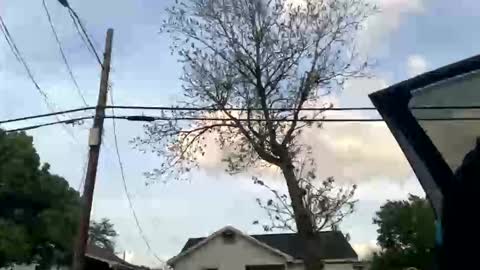 Snapshot of bangabeenlit chatting on 04.02.26 BeenLit online show from 04.02.26