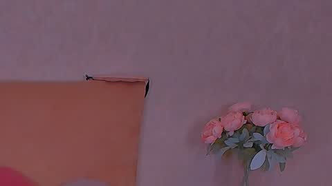 Snapshot of barbara_bb chatting on 12.08.24 Barbie Kim online show from 12.08.24