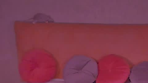 Snapshot of barbara_bb chatting on 02.18.25 Barbie Kim online show from 02.18.25