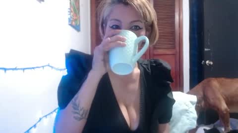 barbiemature online show from 05.28.26