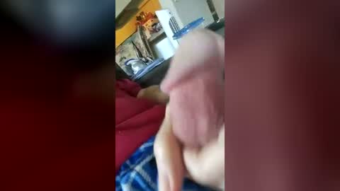 barbitall online show from 07.17.26