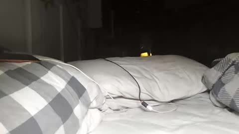 Snapshot of barkeeemark chatting on 03.24.26 nevametafreaklikemeb4 online show from 03.24.26