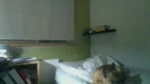 Snapshot of bart_poland chatting on 10.23.25 bart_poland online show from 10.23.25