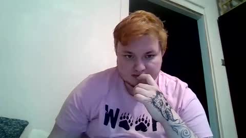 BartTheBear online show from 02.09.26