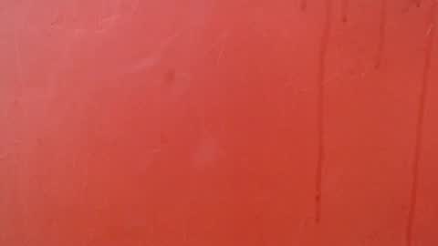 bayonette_black online show from 11.29.25