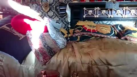 Snapshot of bazzasworld chatting on 11.01.25 Bazza online show from 11.01.25