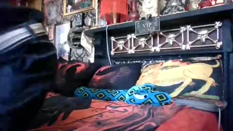 Snapshot of bazzasworld chatting on 02.18.26 Bazza online show from 02.18.26