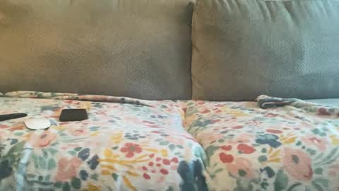 Zaddy online show from 01.30.25