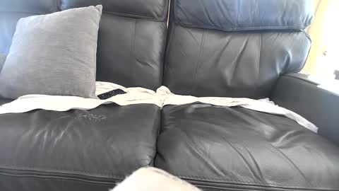 Arduous online show from 10.03.25