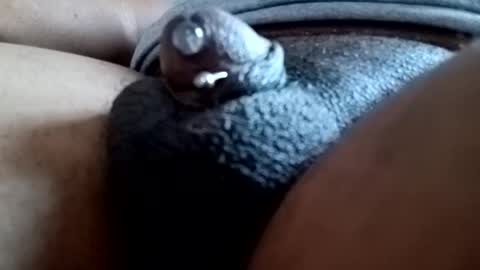 bcfalcon69 online show from 03.09.26