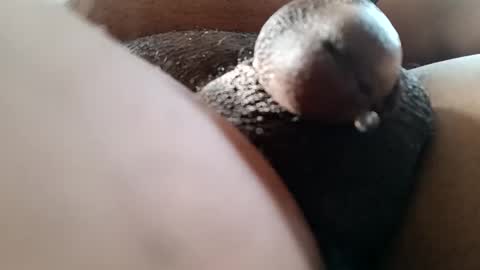 bcfalcon69 online show from 06.07.26