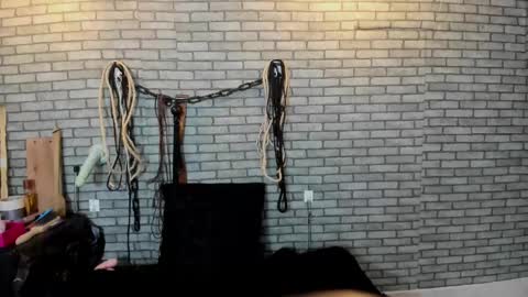 Meduza  online show from 11.14.25