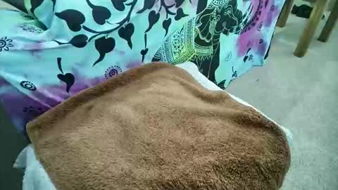 mikiforfun online show from 05.06.26