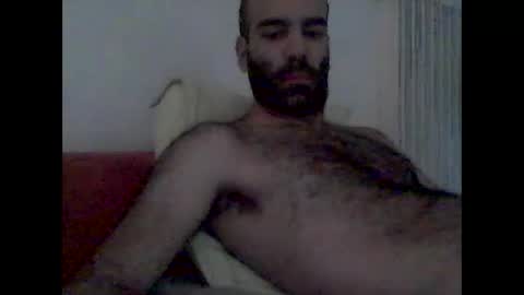 bear14250949 online show from 11.01.25