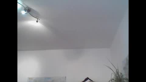 bear14250949 online show from 11.02.25