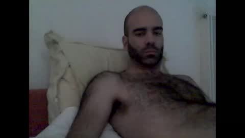 bear14250949 online show from 11.16.25