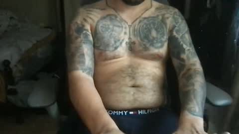 Bearcito online show from 05.08.26