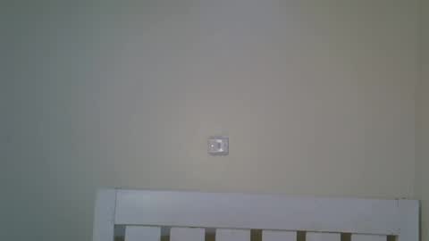 bedmaster_d online show from 10.07.25