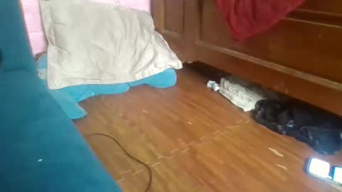 Snapshot of beebaby_xx chatting on 11.16.25 beebaby_xx online show from 11.16.25