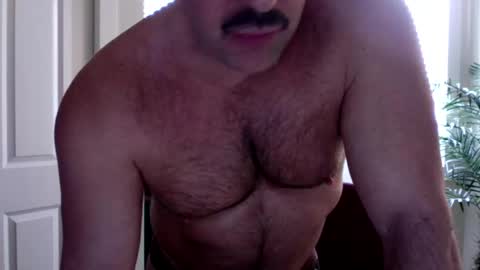 Beefy online show from 03.22.26