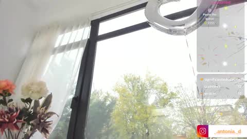 bella_posh online show from 11.15.25