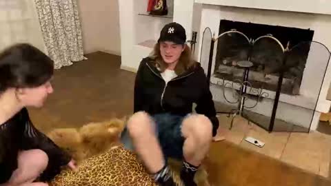 Baila online show from 11.12.25