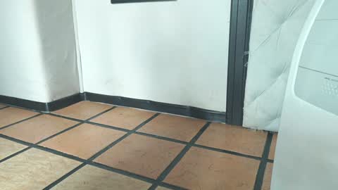    online show from 12.19.24