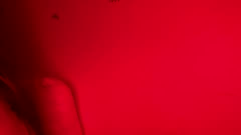 Snapshot of belle_marie chatting on 11.09.25 Belle xx online show from 11.09.25