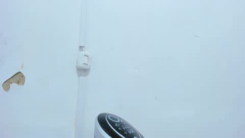 Bellota Flak online show from 12.14.24