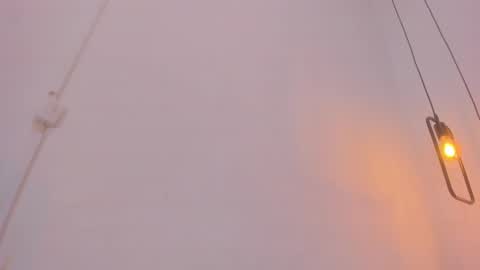 Bellota Flak online show from 12.28.24