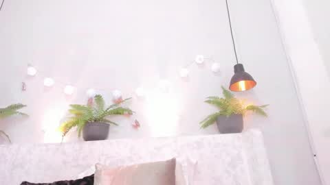 Bellota Flak online show from 03.05.25