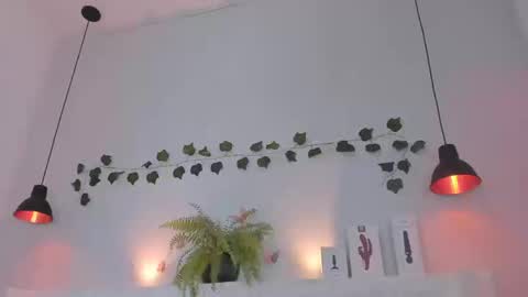 Bellota Flak online show from 09.10.25