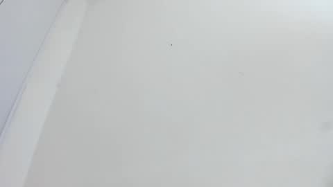 Bellota Flak online show from 12.15.25