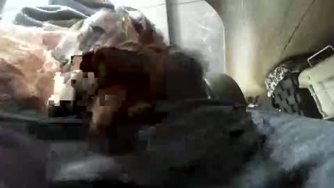 Snapshot of beninoam75 chatting on 01.09.26 beninoam75 online show from 01.09.26