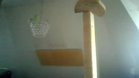 Snapshot of benizio_ chatting on 01.15.25 benizio online show from 01.15.25