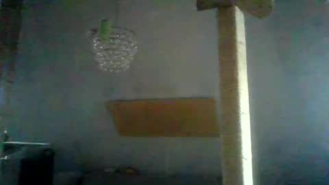 Snapshot of benizio_ chatting on 01.24.25 benizio online show from 01.24.25