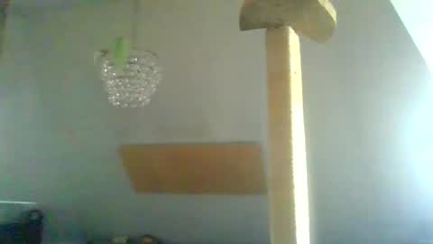 Snapshot of benizio_ chatting on 01.30.25 benizio online show from 01.30.25