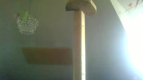 Snapshot of benizio_ chatting on 02.22.25 benizio online show from 02.22.25