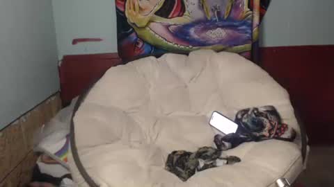 Bent Bunny online show from 07.22.26