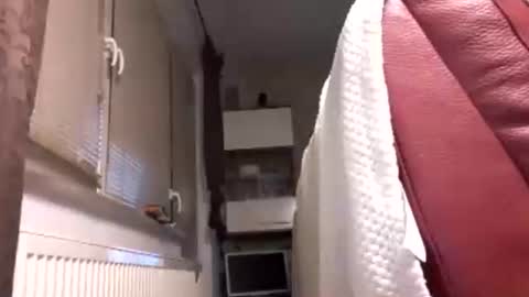 Snapshot of benutzmich0800 chatting on 02.14.26 Benutzmich0800 online show from 02.14.26