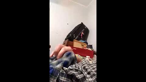 bertpace9296 online show from 05.03.26
