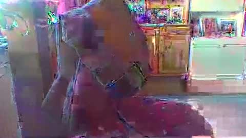 bestmann979994 online show from 03.01.26