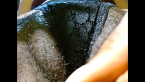 Bethany Wilson online show from 02.21.25