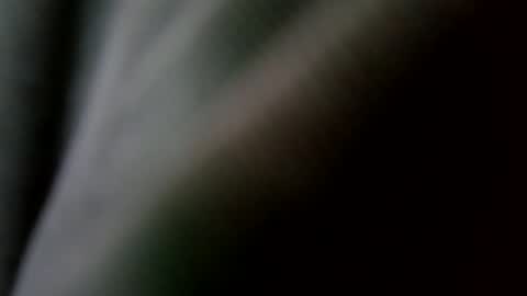 Snapshot of betohola chatting on 02.20.25 Betco online show from 02.20.25