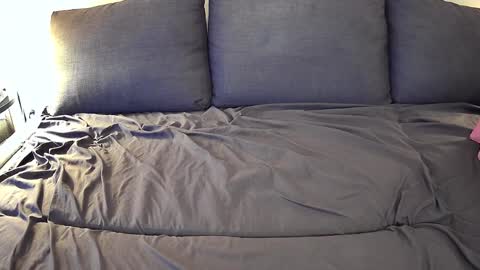 Snapshot of bfox254 chatting on 02.23.25 Brian Fox online show from 02.23.25