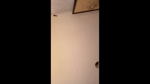 Snapshot of bgiamba21 chatting on 01.12.26 bgiamba21 online show from 01.12.26